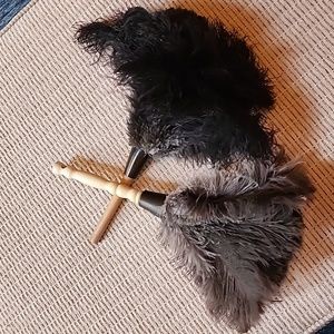 Feather Dusters (2)